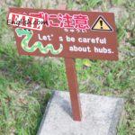 Let' s be careful about hubs